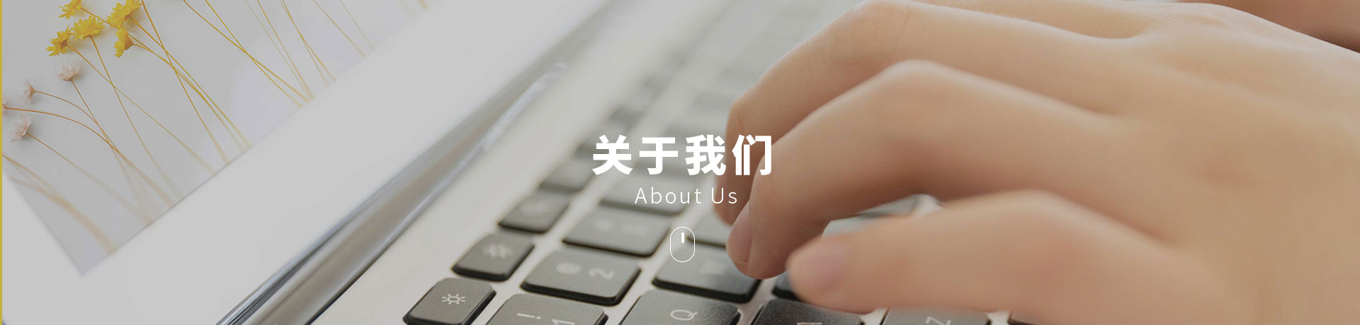B体育(中国)国际平台,B SPORTS